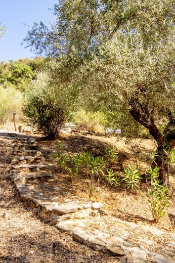 Image No.33-4 Bed Country House for sale