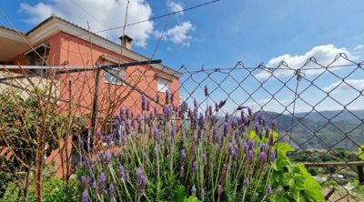 pt165gtgz4mgeminigeneratedimage5i3xrm5i3xrm5i