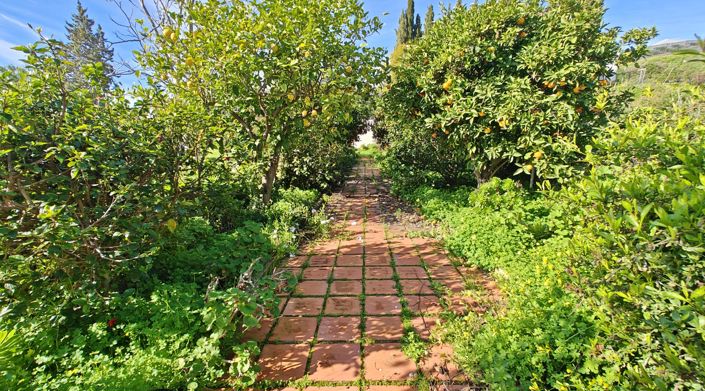 Image No.15-Maison de campagne de 5 chambres à vendre à Algarrobo
