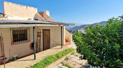 zamexi7h0t20241111111815