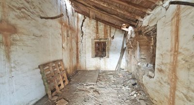 n3xy0fgsnqpimg20260226131432