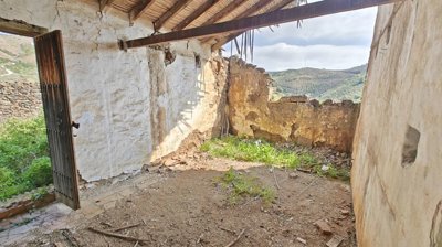 ff4lchuuv0timg20260226131424