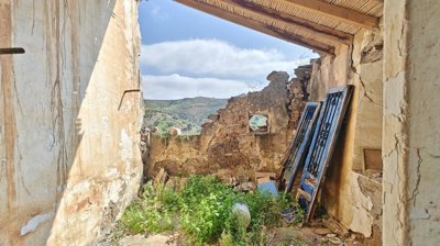 0a6oqidqnw49img20260226131414