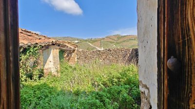 puf1cewsryimg20260226131525