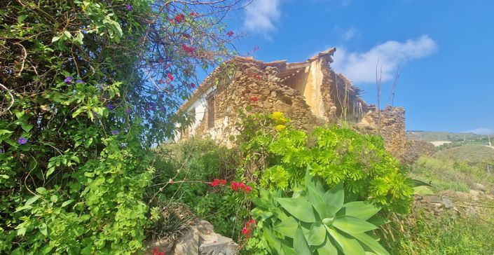 Image No.4-Maison de campagne de 2 chambres à vendre à Vélez-Málaga