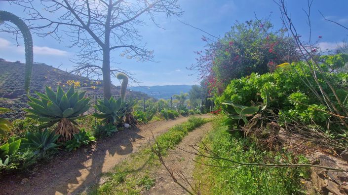 Image No.5-Maison de campagne de 2 chambres à vendre à Vélez-Málaga