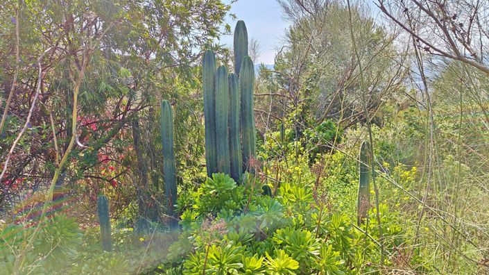 Image No.7-Maison de campagne de 2 chambres à vendre à Vélez-Málaga