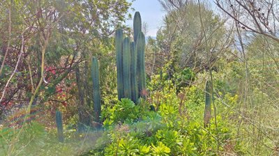 elm22ek5v7fimg20260226131346