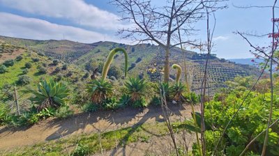 mcgbw8dm0fimg20260226131321