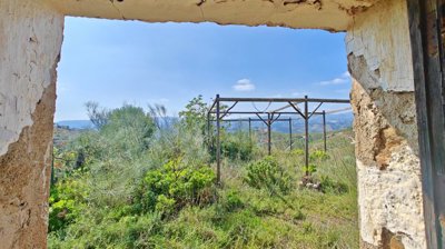 8yctladu1jkimg20260226131254