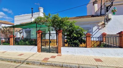 tns6n60vun20260310115658