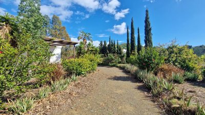 5ri5w1wgokv20260306113411