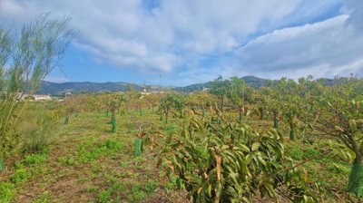 9o3f49wdxb720260227105506