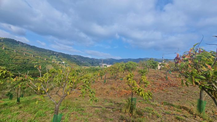 Image No.19-Maison de campagne de 6 chambres à vendre à Cajiz