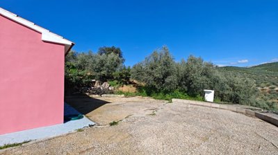 2tvtn3pbk43whatsapp20image202026-03-1620at201