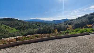 utwm63g35ujwhatsapp20image202026-03-1620at201