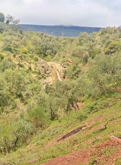 Image No.5-1 Bed Country House for sale