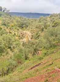 qxqzkk78fbcimg20260312130146