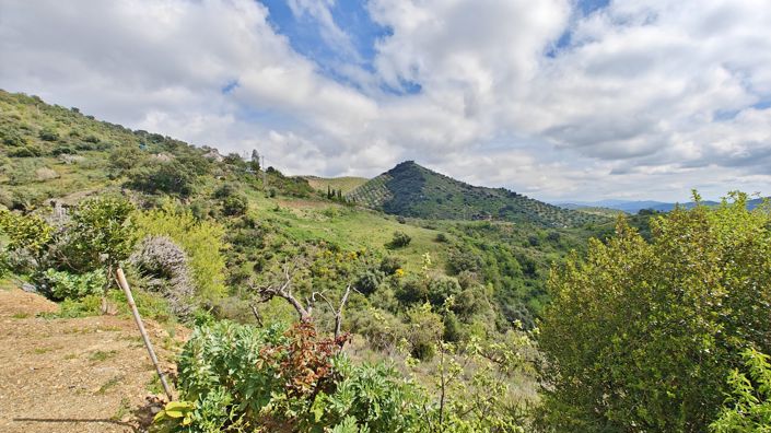 Image No.6-1 Bed Country House for sale