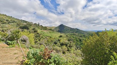 qpxtr4wprjimg20260312132303