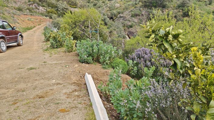 Image No.9-1 Bed Country House for sale