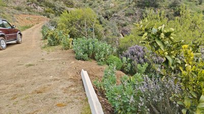 spfbex6do59img20260312132355