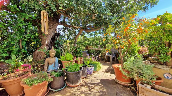 Image No.8-5 Bed Country House for sale