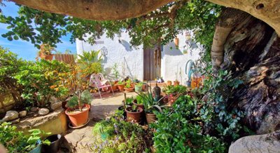 sm31g3ibeah20260403115258