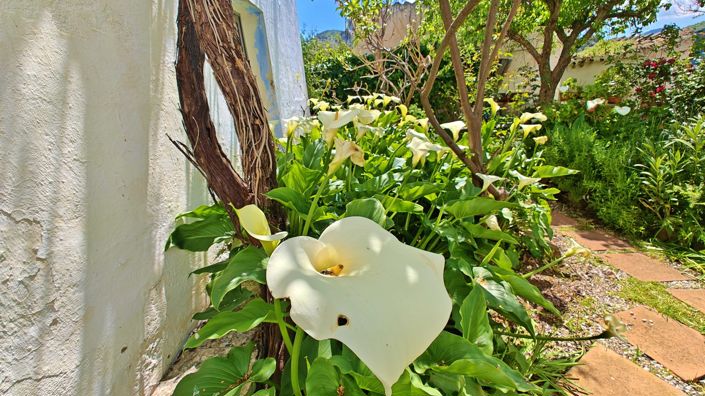 Image No.31-3 Bed Country House for sale