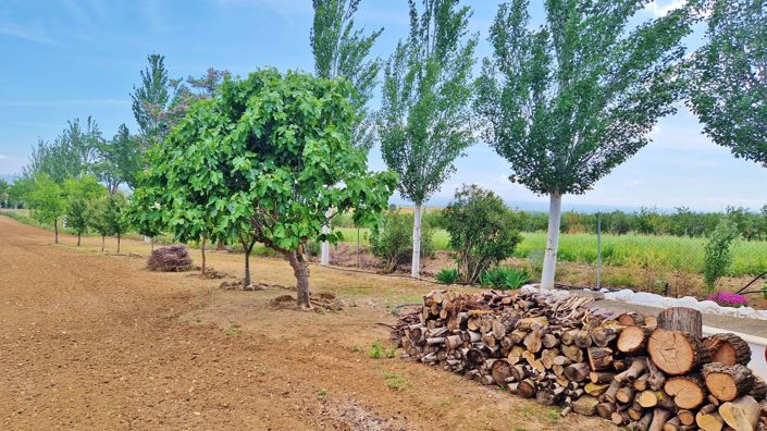 Image No.34-3 Bed Country House for sale