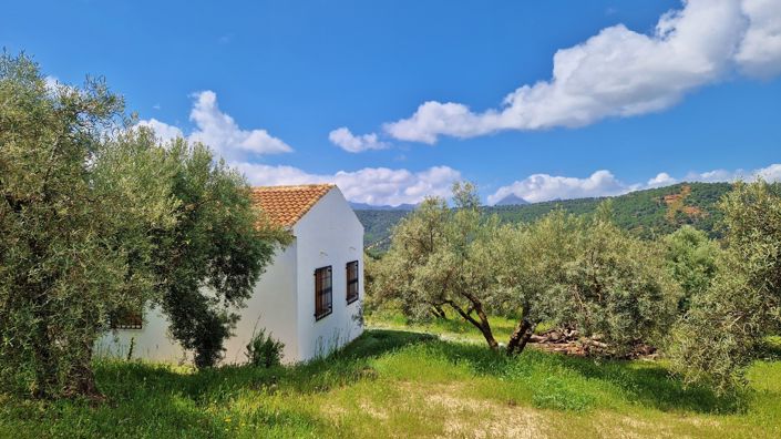 Image No.10-2 Bed Country House for sale