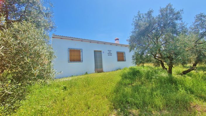 Image No.13-2 Bed Country House for sale