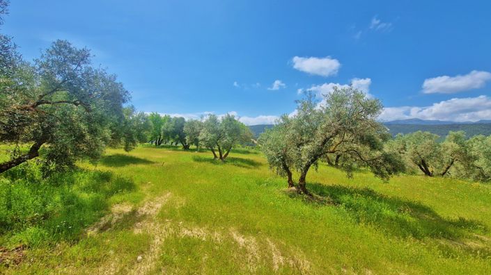 Image No.3-2 Bed Country House for sale