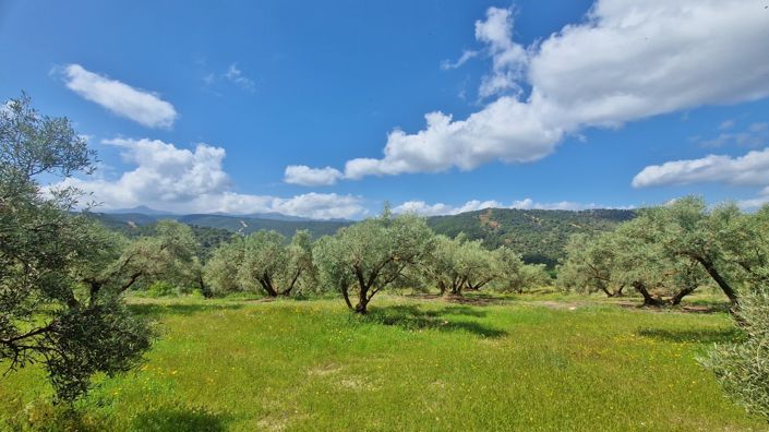 Image No.6-2 Bed Country House for sale
