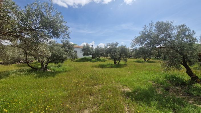 Image No.9-2 Bed Country House for sale