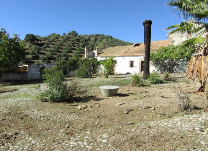 Image No.24-Ferme de 6 chambres à vendre à Adamuz