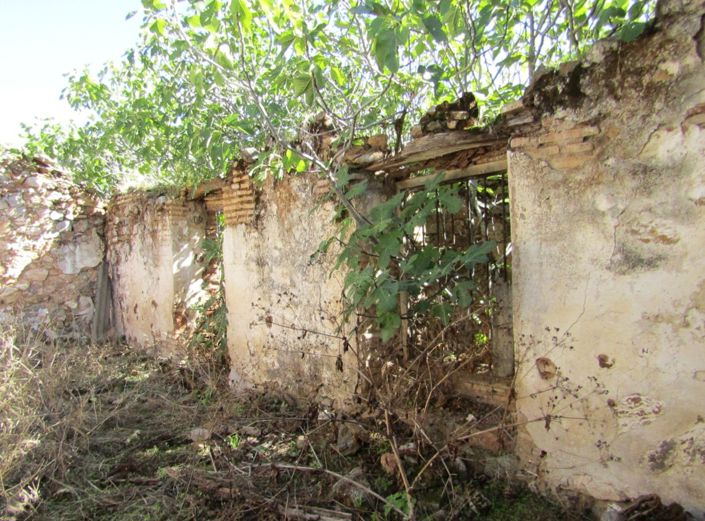 Image No.35-Ferme de 6 chambres à vendre à Adamuz