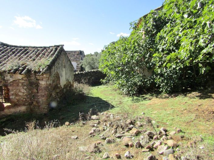Image No.39-Ferme de 6 chambres à vendre à Adamuz
