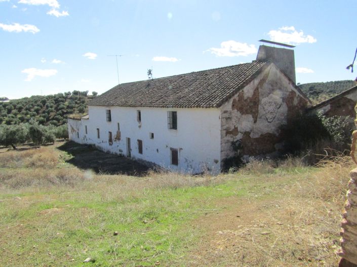 Image No.42-Ferme de 6 chambres à vendre à Adamuz