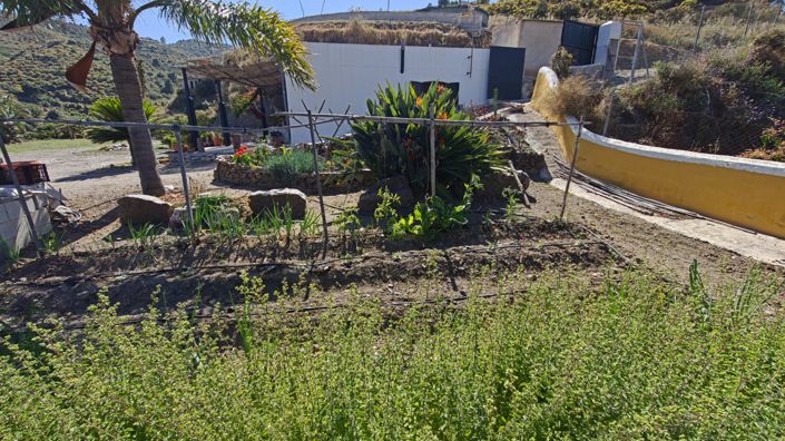 Image No.7-3 Bed Country House for sale