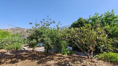 419449582