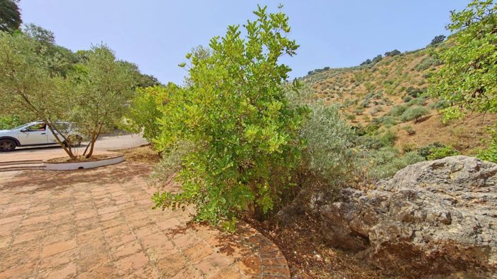 Image No.19-2 Bed Country House for sale