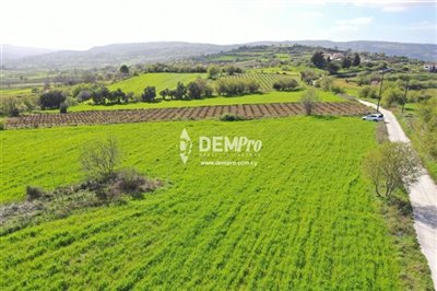 16959-agricultural-land-for-sale-in-polemiful
