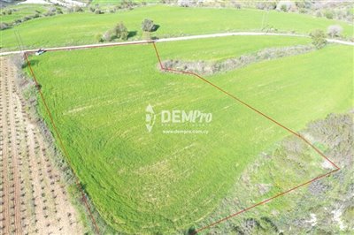 16960-agricultural-land-for-sale-in-polemiful