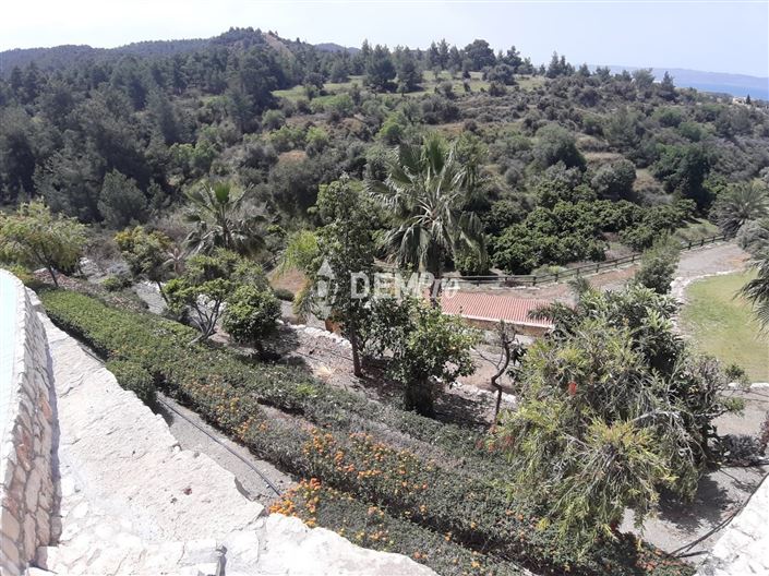 Image No.24-Villa de 5 chambres à vendre à Pomos