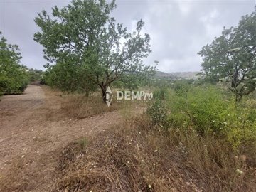 37184-agricultural-land-for-sale-in-armoufull