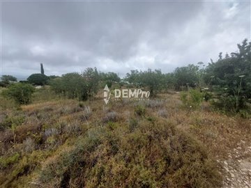 37188-agricultural-land-for-sale-in-armoufull