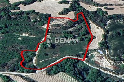 38529-agricultural-land-for-sale-in-stroumbif