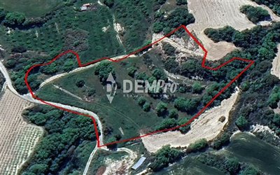 38531-agricultural-land-for-sale-in-stroumbif
