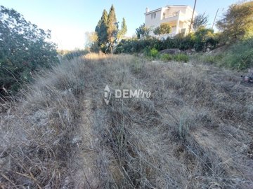 47708-agricultural-land-for-sale-in-tsadafull